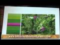 Margie Deeb on Beads, Baubles, and Jewels