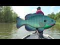 Biggest Catch