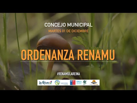 Presentación Ordenanza RENAMU en Concejo Municipal de La Reina (01.12.2020)