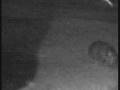 videos de Hippo grazing at Elephant Plains 12-4-08