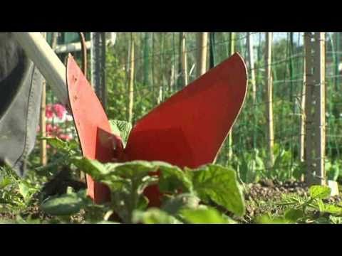 FAMILIAUX - En Prairie et aux Prés-Saint-Jean, des parcelles toutes équipées sont à disposition des amoureux du jardinage.
