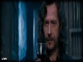 i suppose i should put a slash warning here, as it might be interpreted as a slash vid. then again, it might be taken at face value and interpreted as an anti-slash vid - it's all up to you. so please, take it with a grain of salt.

plus, in the middle it suddenly turns into a sirius black tirbute or a tribute to people who loved and mourned him. or something like that.

this vid is dedicated to ecarrie:
http://youtube.com/profile?user=ecarrie
since she both taught me how to use sony vegas and inspired me to vid potter. plus, she makes the best potter fanvids ever. don't believe me? go and see, i dare you.

credits (i believe in giving credit where it's due):
song - 10cc
clips - wb
deviantart fanarts, in order of appearance:
