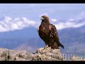 EL HIMNO NACIONAL DE MEXICO MEXICANS MEXICANA  MEXICANO  MAS CHIDO