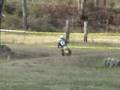 RR 2007 Moto 10