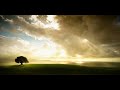 Reeves - Call Of Loneliness