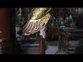 Pagoda Life.mov