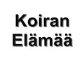 Rekku - Koiran El�m��