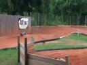 North Fort Myers Truggy Race...