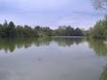Rabrovac - Rabrovačko jezero * Mladenovac