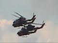 Helos! From the Blue Angels 2006 Airshow