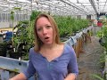 Planet Diaries....Fish Feed Plants, Plants Clean Water