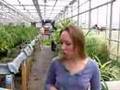 Planet Diaries....Fish Feed Plants, Plants Clean Water