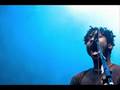 bloc-party-rhododend