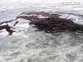 First Look: Climate Change (CBS News)