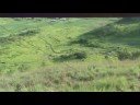 Bautizo en la Lagunita