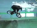 animal bmx