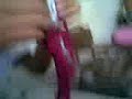 Stripteese calaca cbtis 258