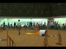 Dog Agility (Jun/20/2008 JKC Final Jumping Large Vol.2)
