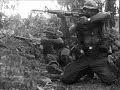 veitnam war tribute veitnam war tribute