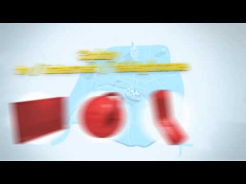 Image de prévisualisation YouTube
