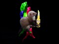 funny-ferret.html