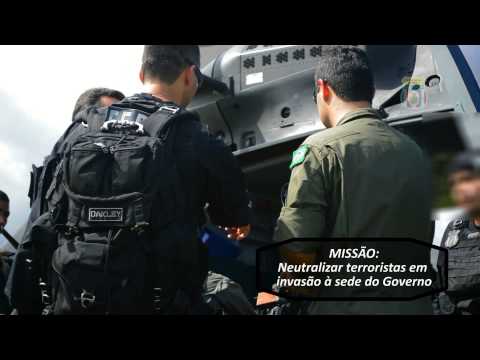 SIMULAÇÃO FERA