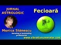 Astrolog Monica Stănescu Horoscop Septembrie 2017 Fecioara
