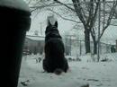 One with the snow One with the snow