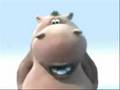 Desi hippo
