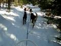 2009-02-18 | Dogsledding Preview ~> My teacher trying to dogsled :P PS he says "Good doggies" a LOT. ... (0:18)