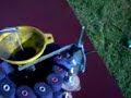 Visco machine compact