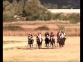 GALOP CROATIA-KONJIČKE TRKE ROXOLINAvsBELAMY SINJ 20.09.2008..wmv