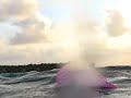 portuguese man o war  physalia physalis  belize