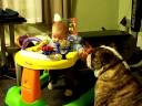Brayden and Dozer Brayden and Dozer