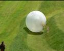Zorb