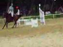 Concours CSO Velaux 8 juin 2008