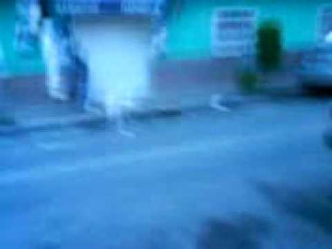 dos idiotas el una calle 2