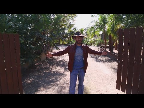 YouTube reptile video