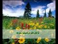 quran