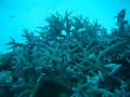 Miyakojima-island Miyakojima-island