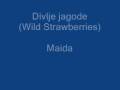 Divlje Jagode - Maida Slicica