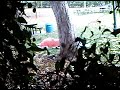 VID 00022-20091223-0703.3GP