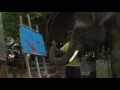 象が絵を描く elephant thai ayutthaya - YouTube