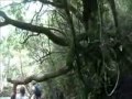 King of the Mountain Race 2008 helmet cam