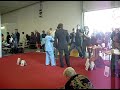 BRATISLAVA 2009 PEKINGESE