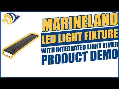 how to set aquarium light timer