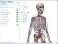 Tutorial for Visible Body: 3D Human Anatomy Tutorial for Visible Body: 3D Human Anatomy
