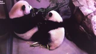 Smithsonian National ZOo