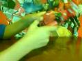 videos de review of universe 2.0 blades