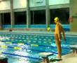 videos de Tuffo